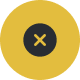 closeIcon