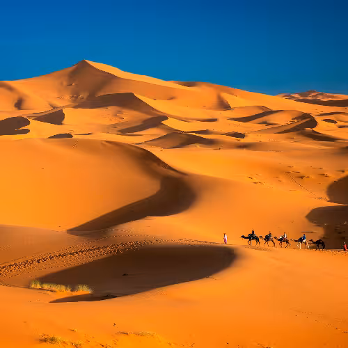 Golden Erg Chebbi sand dunes in Merzouga, Drâa-Tafilalet, Morocco—top Sahara Desert destination for camel trekking, sunset dune views and desert camp tours.