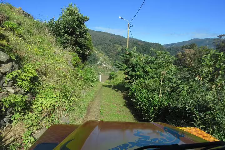 4WD adventure through lush, scenic trails near Funchal, offering a unique blend of nature and local farmers market experience.