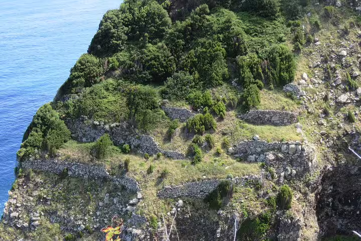 Scenic cliffside view with lush greenery and terraced rocks overlooking the Atlantic Ocean on a 4x4 Jeep tour to Porto Moniz and Fanal.