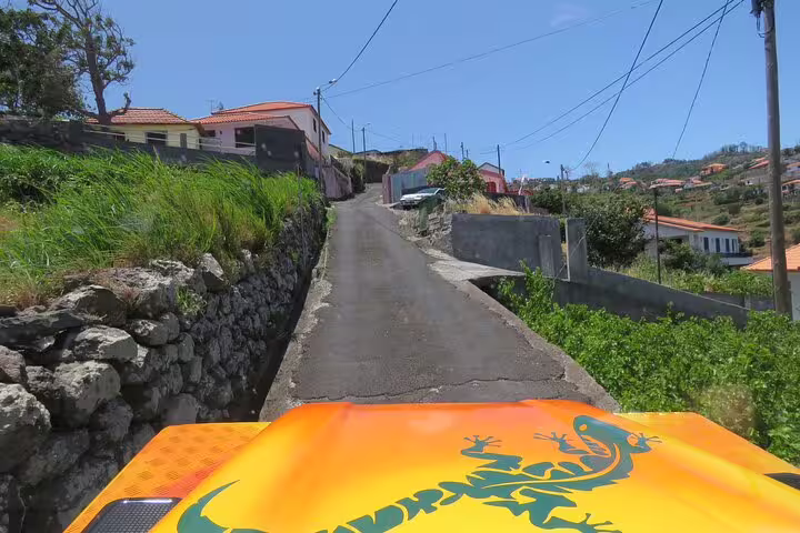 4x4 adventure through scenic vineyard roads with vibrant jeep hood, exploring rustic countryside views on a sunny wine tour.