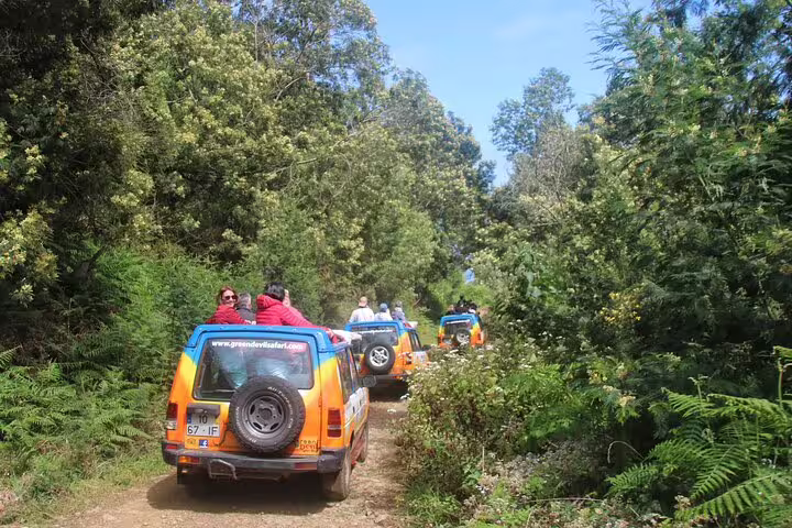 Off-road 4x4 vehicles navigate lush trails in Southwest Madeira, offering an adventurous guided exploration experience.