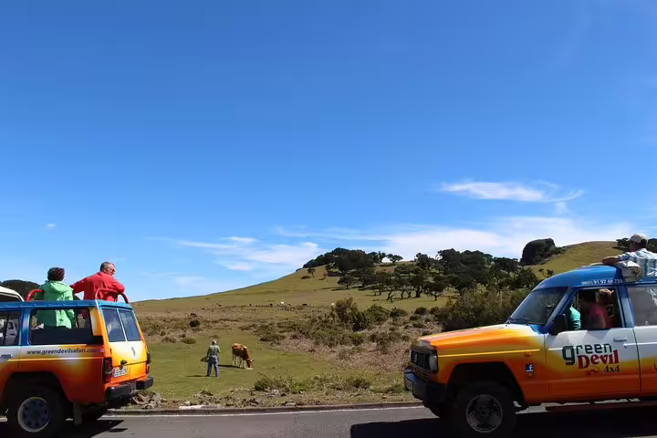 4x4 vehicles with tourists explore the scenic landscapes of Southwest Madeira, capturing nature and adventure on a sunny day.
