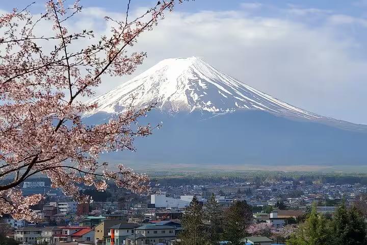 2-tägige geführte Tour durch Tokio, Mt. Fuji und Hakone