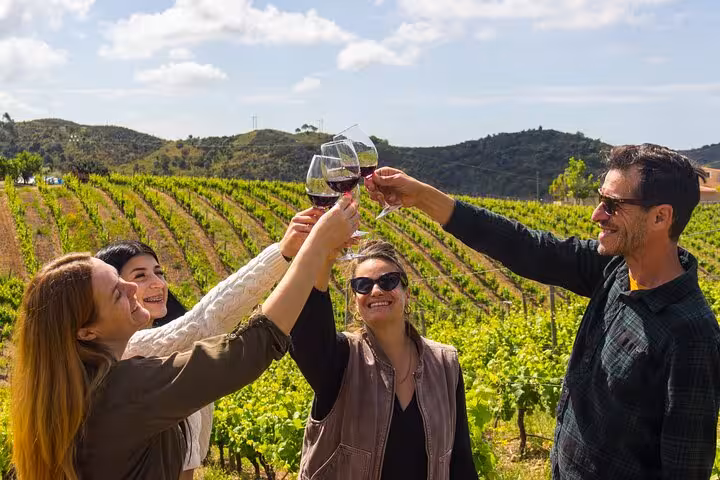 Friends toasting red wine glasses at a scenic Albufeira boutique winery vineyard tour in Algarve Portugal
