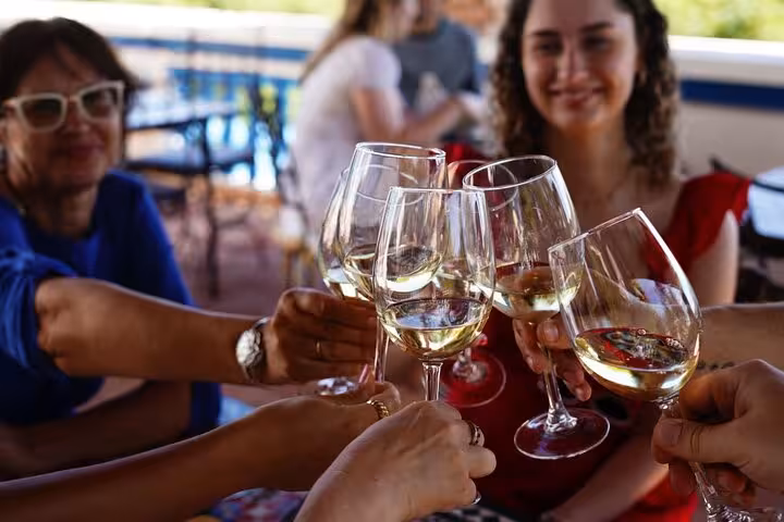 Happy guests clinking white wine glasses during a boutique winery tour experience near Albufeira and Silves