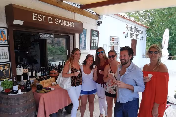 Happy tourists enjoying wine tasting at Est. D. Sancho boutique winery near Silves on Albufeira tour