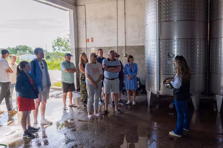 Tour guide explaining wine fermentation tanks to visitors on an Albufeira boutique winery tour near historic Silves