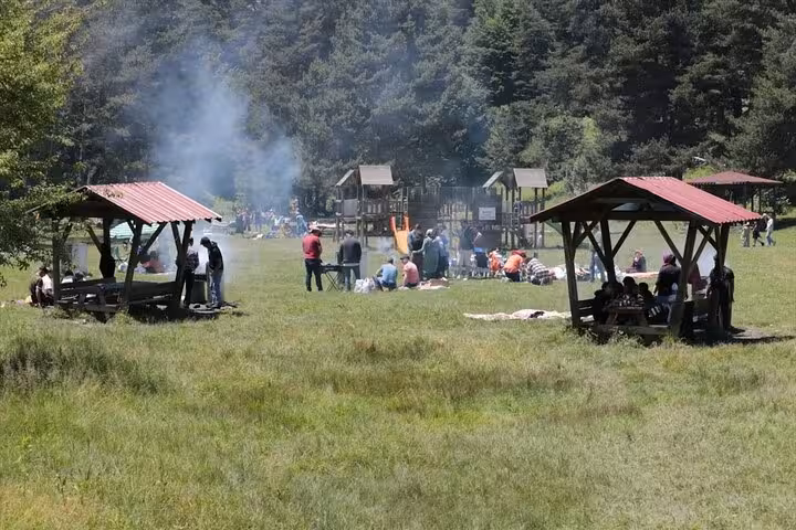 Picnic area in Abant Nature Park with shelters and forest views, relaxing break on Sapanca Abant tour