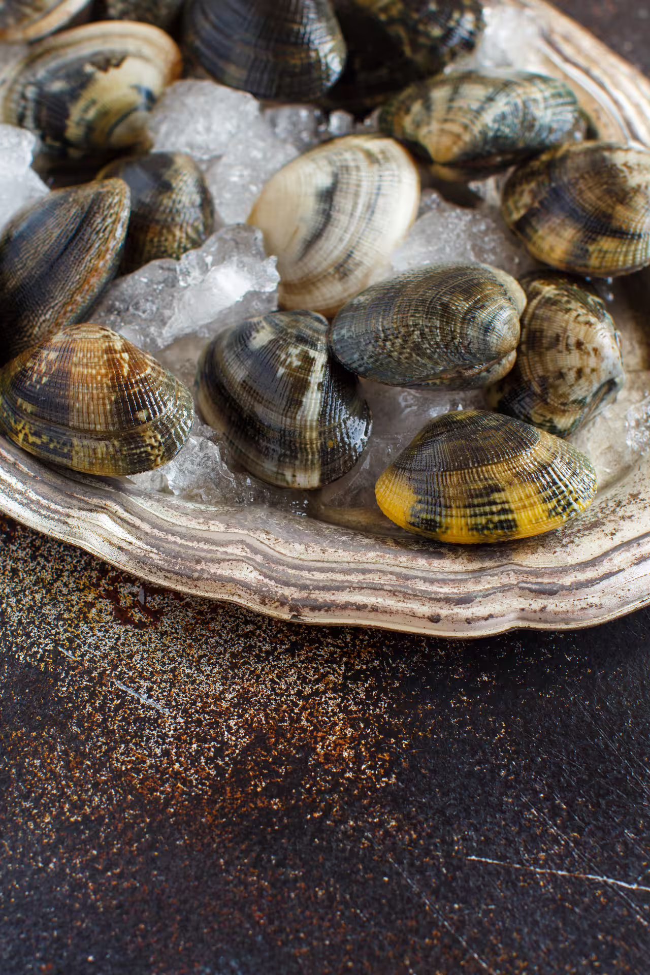 Fresh Adriatic clams on ice, local seafood tasting from Trabocchi Coast fishing tourism experience