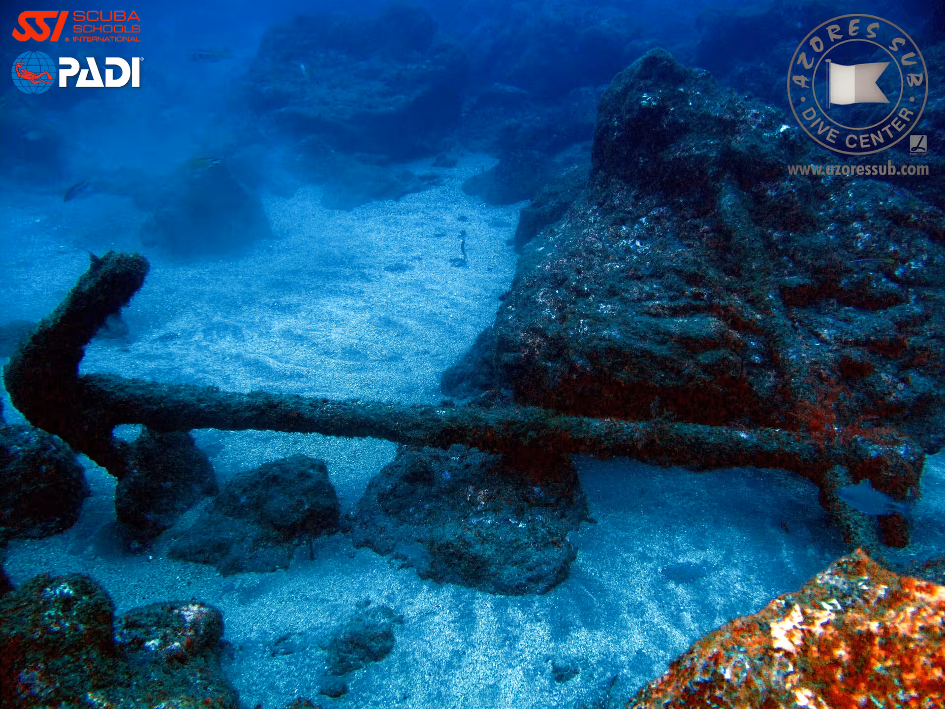 Advanced Open Water Diver wreck dive over sandy seabed and rocks, exploring submerged anchor in clear blue water