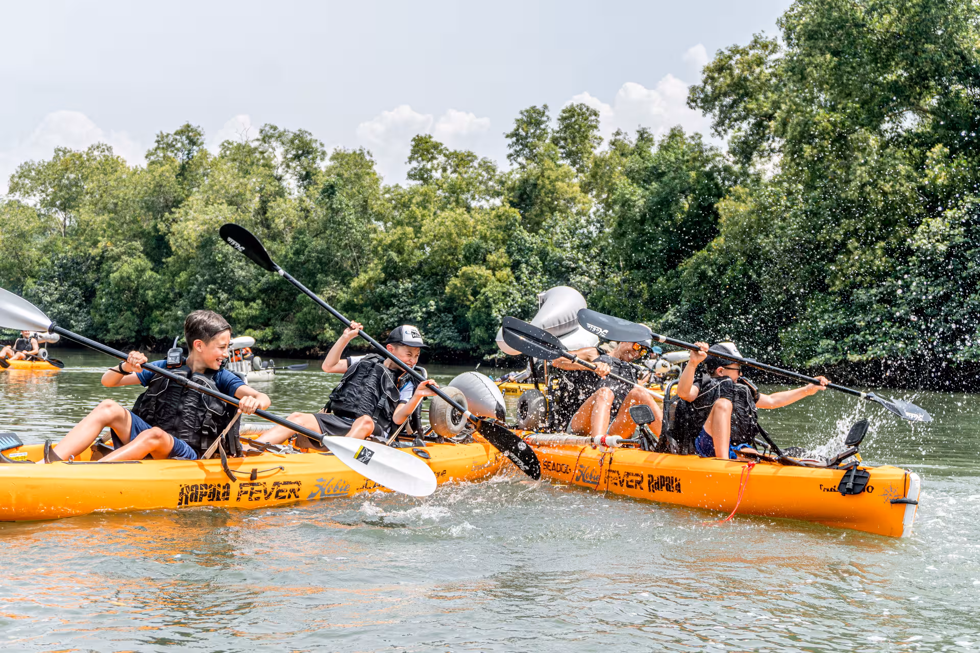 Group of adventurous kayakers paddling energetically through lush mangrove waters.