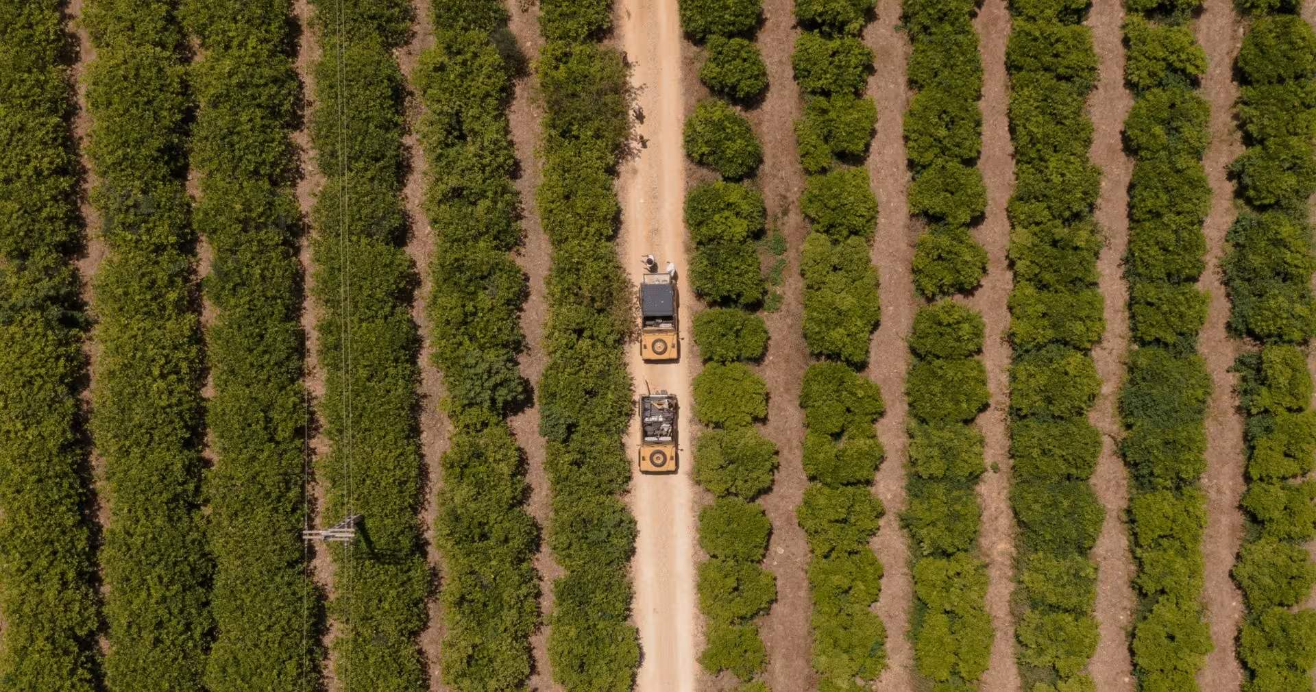 Aerial view of safari jeeps driving a dirt track between lush Algarve orange groves on a half-day private tour
