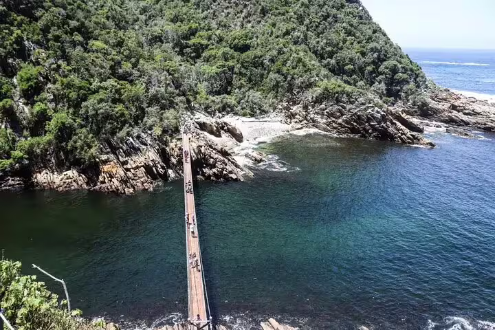 Scenic view of a lush forest and suspension bridge over a serene river along Africa's Garden Route, ideal for safari tours.