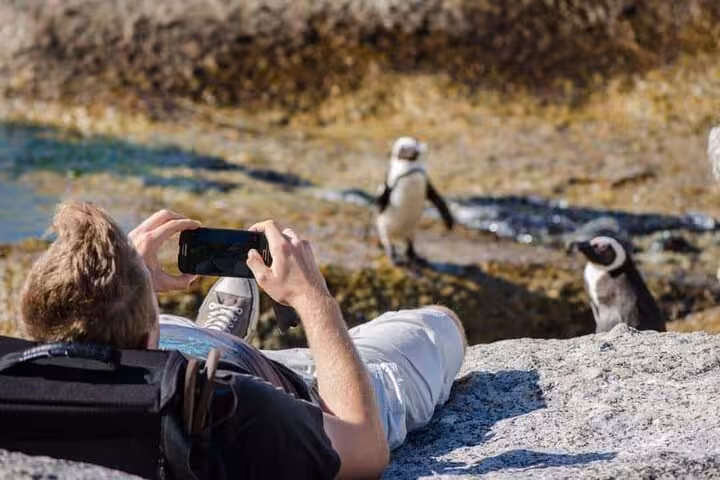 Tourist capturing photos of African penguins on rocky shore at Boulders Beach, a must-visit Cape Town attraction.