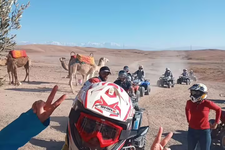Agafay Desert quad biking group near camels, helmets on, during Marrakech ATV and camel tour with dinner show