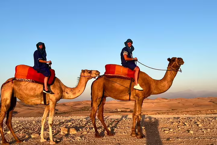 Silhouettes on camels at Agafay Desert sunset, Marrakech camel ride tour with glowing horizon and dunes