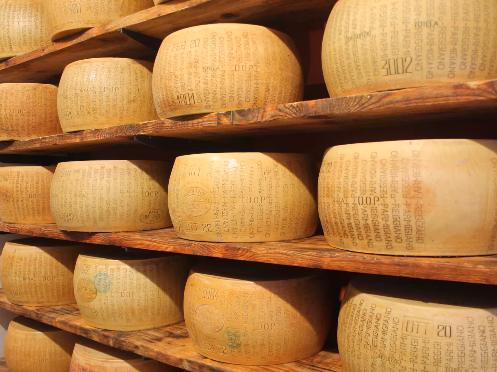 Rows of aged Parmigiano Reggiano cheese wheels in a traditional Parma storage, highlighting Italian culinary heritage.