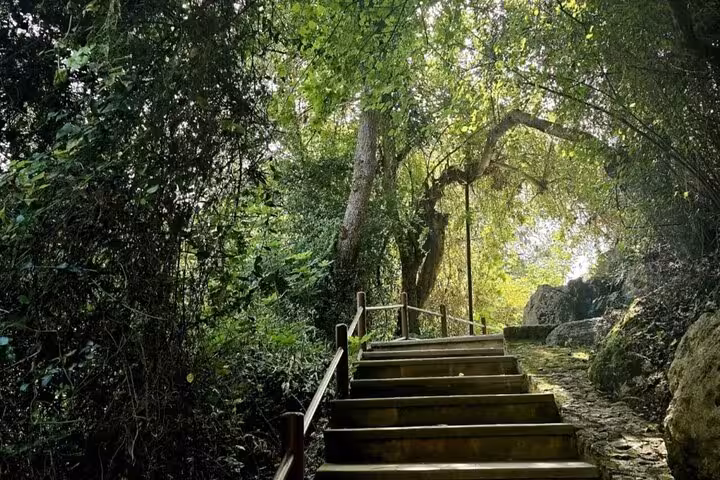 Wooden steps on Akamas nature trail in Cyprus, walking stop on Blue Lagoon Akamas bus and boat tour from Paphos