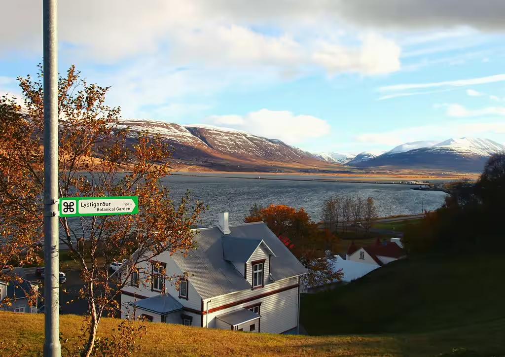 Akureyri fjord view with snow-capped mountains, colorful autumn trees, and traditional Icelandic houses