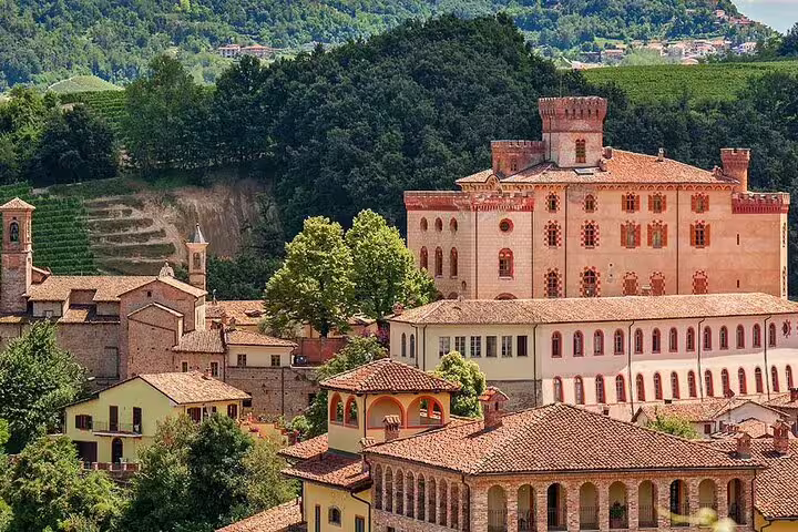 Scenic view of historic castle and vineyards in Alba, renowned for wine and truffle tours in the Italian countryside.