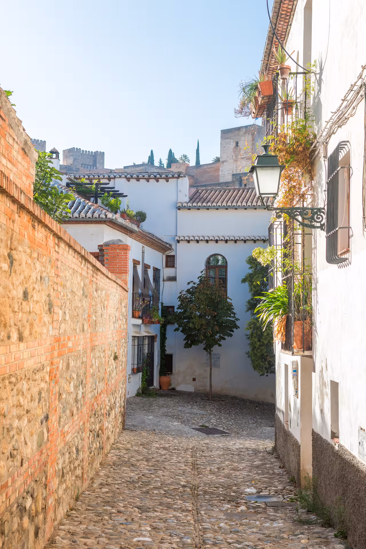 Charming cobblestone street in the Albaicín, Granada, lined with traditional whitewashed houses and vibrant greenery.
