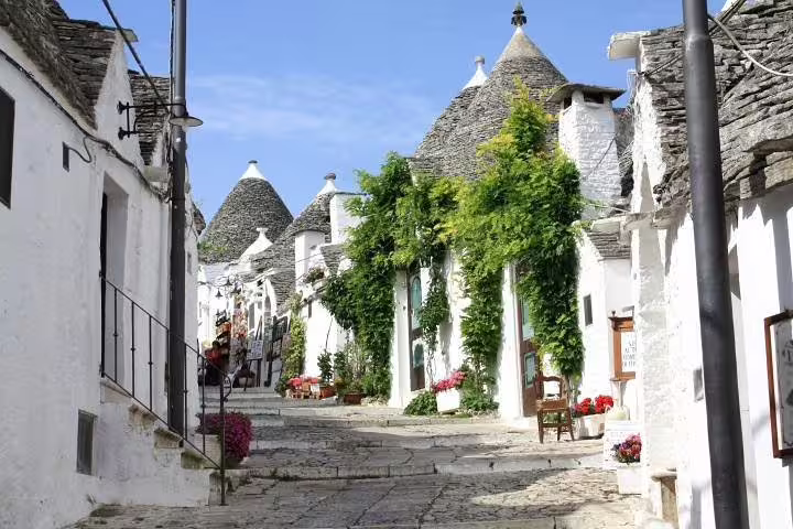 Sunlit stone lane lined with whitewashed trulli houses and greenery in Alberobello on a private day trip from Naples