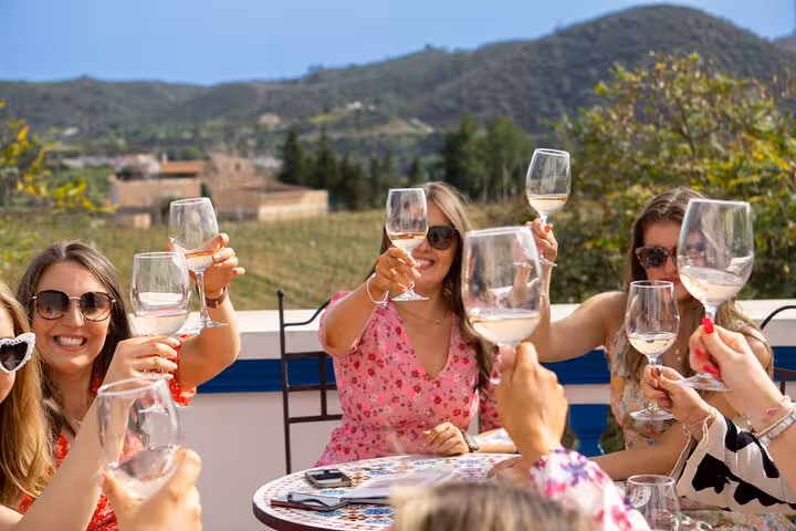 Group of friends toasting with wine glasses at a scenic Algarve winery terrace during a sunny day tour.