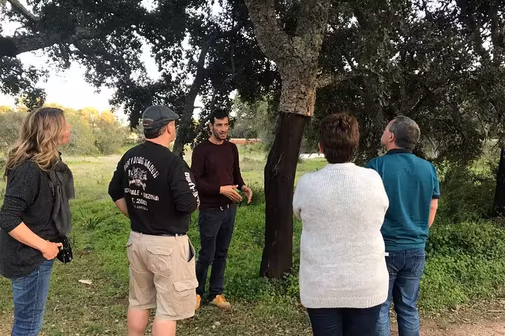 Tour guide explaining cork tree features to a group during the Algarve wineries tour from Albufeira.