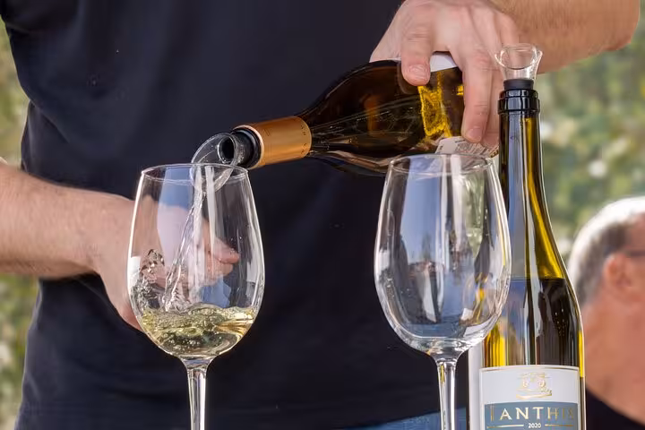 Person pouring white wine into glasses during Algarve winery tour from Albufeira.