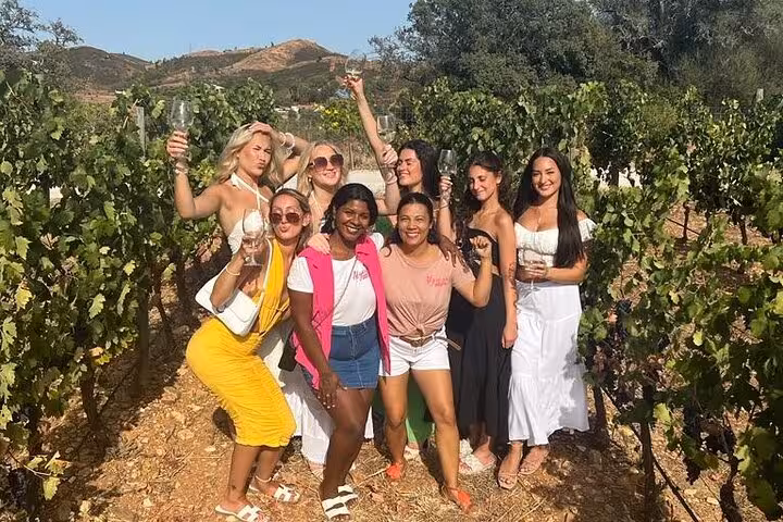 Group of tourists celebrating with wine glasses in Algarve vineyards on a sunny day tour.