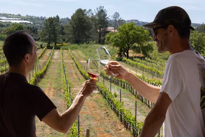 Two people toasting with wine glasses overlooking scenic vineyards in Algarve.