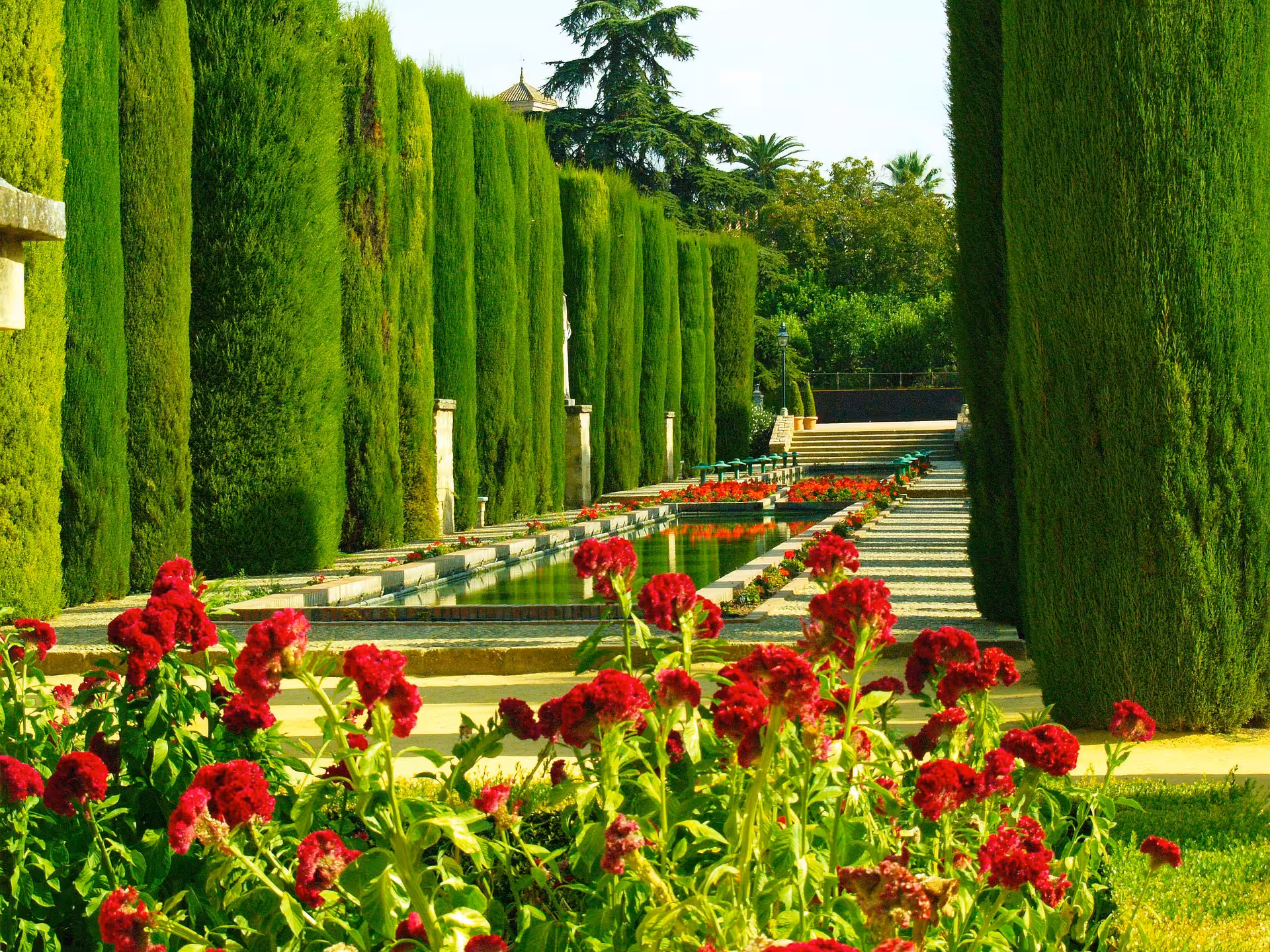 Lush gardens and vibrant flowers in the Alcázar of the Christian Monarchs, offering a serene escape on the guided tour.