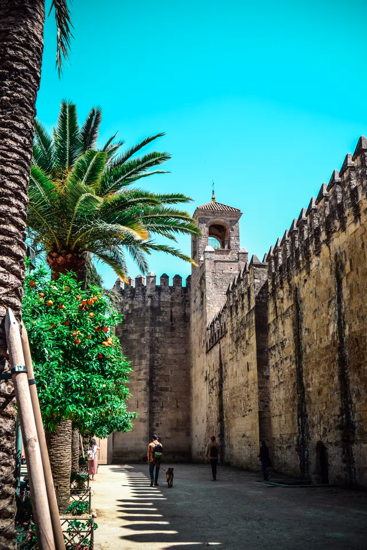 Visitors stroll along the historic stone walls and vibrant palm trees at the Alcázar of the Christian Monarchs.
