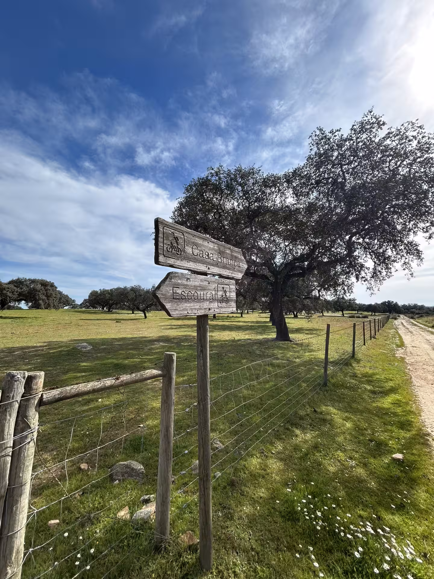 Rustic wooden signs on a bike trail in Alentejo point to Casa Branca and Escoural, inviting exploration.