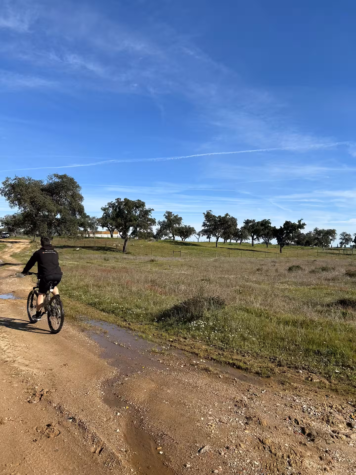 Cyclist enjoying a sunny ride through the scenic Alentejo Montado landscape near Montemor-o-Novo.