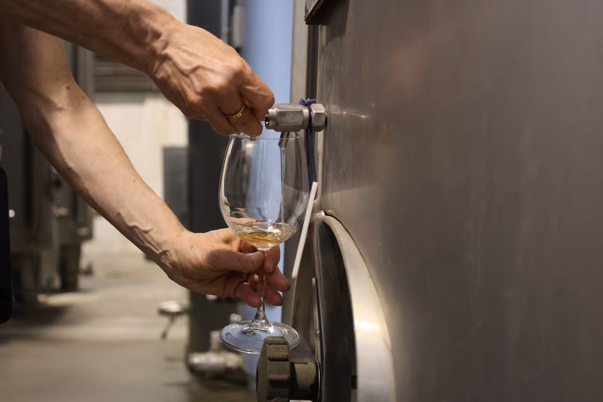 Sample exquisite Alentejo wines directly from the source on a Lisbon wine tour.