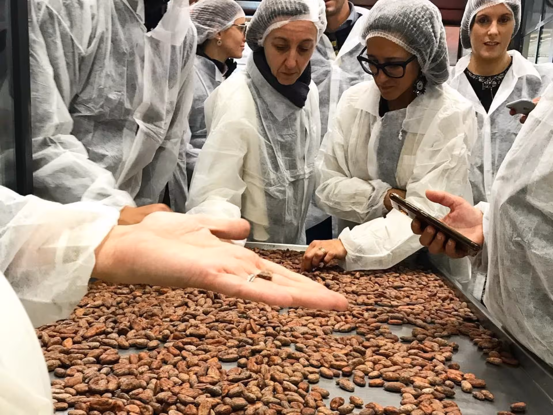 Visitors in protective gear examining cocoa beans during Alessandria chocolate factory tour and tasting experience.