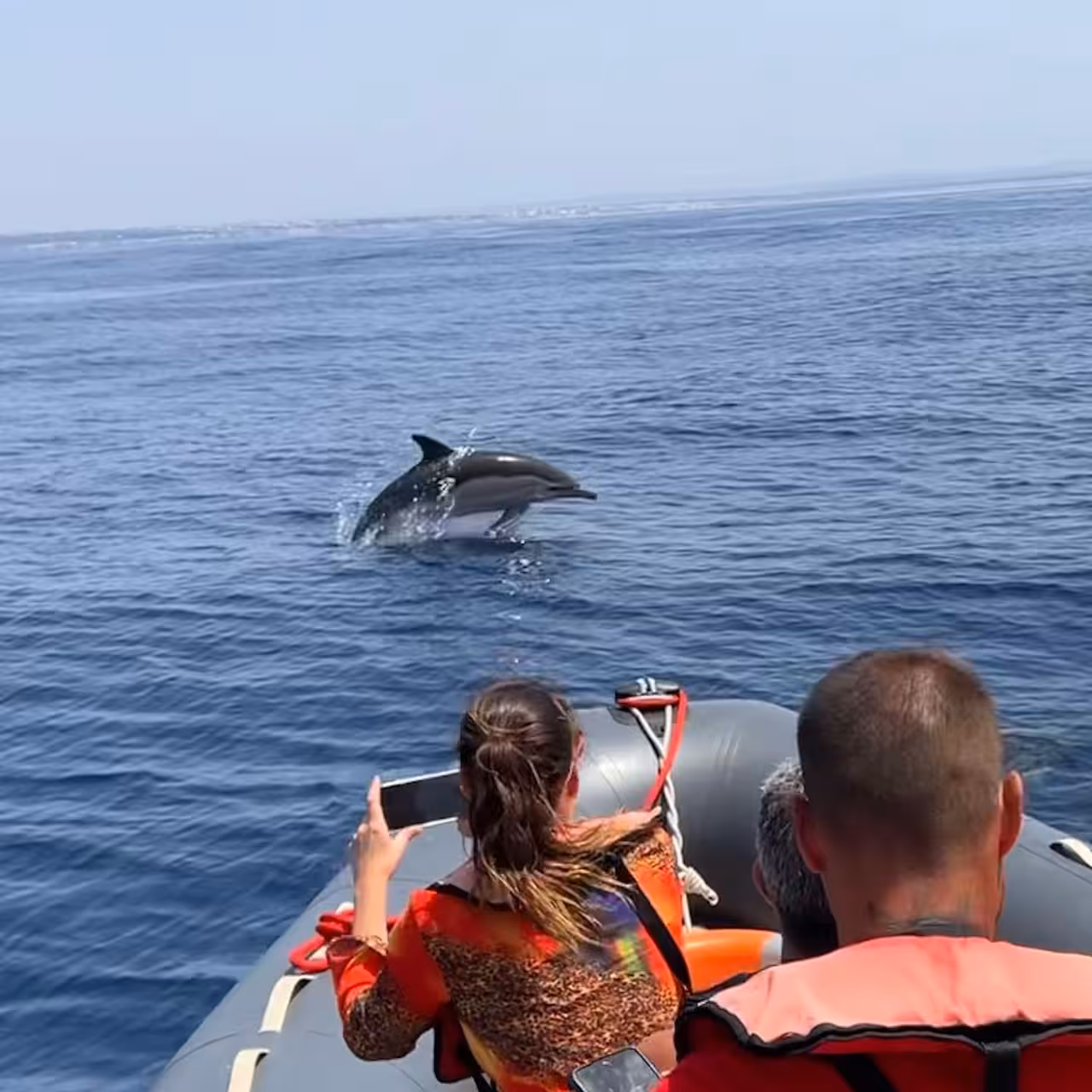 Guests on a private Algarve RIB tour photograph a wild dolphin leaping beside the boat in the clear Atlantic Ocean near Portimão