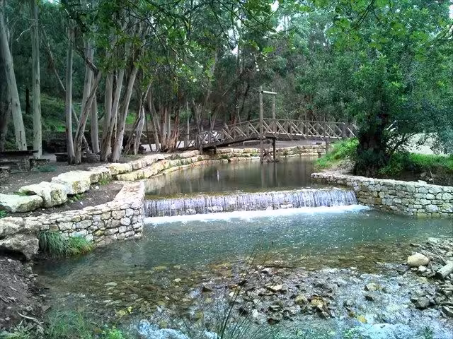 Algarve nature tour stop at a tranquil forest stream and wooden footbridge near a small waterfall, Portugal