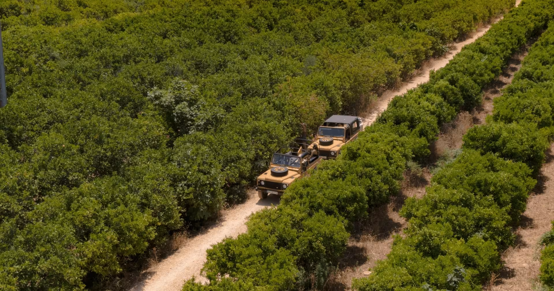 Two safari jeeps on the Algarve Heritage Journey winding along a dirt track between lush green citrus groves and rural farmland