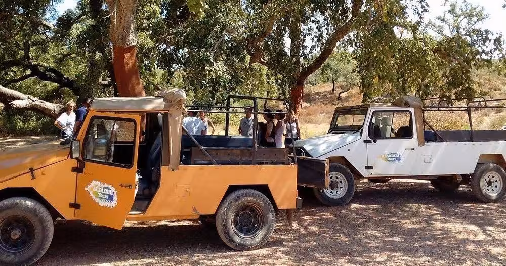 Open-top safari jeeps parked under cork oak trees during a full day Algarve jeep tour with lunch included