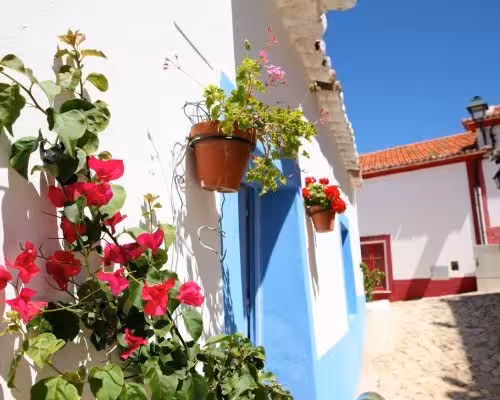 Colorful Algarve street near the Alvor Estuary with whitewashed houses, blue trim and bright bougainvillea in terracotta pots