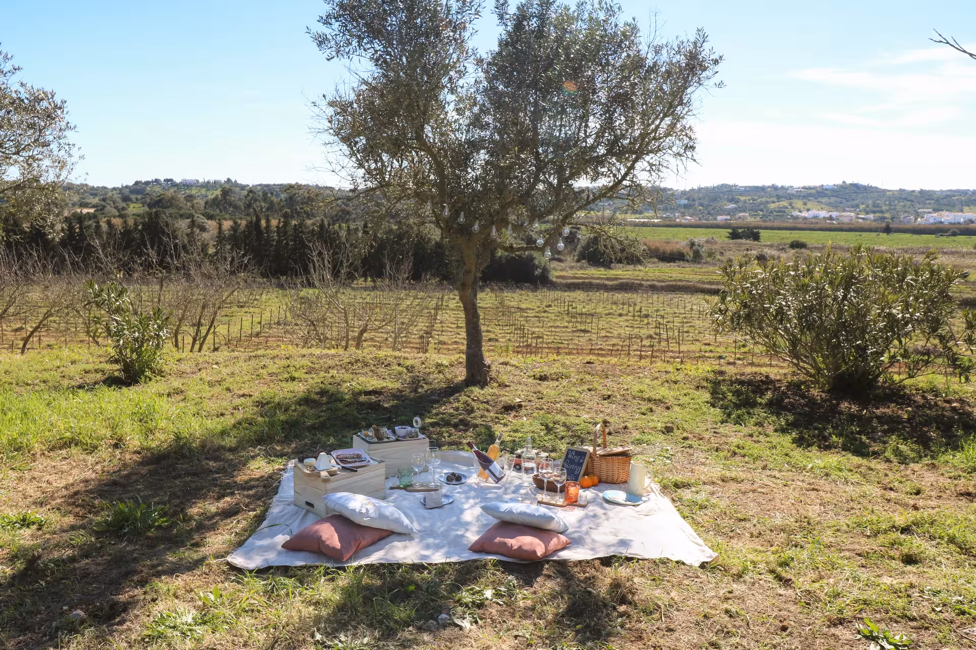 Scenic picnic setup in Algarve vineyard with blanket, pillows, and rustic charm.