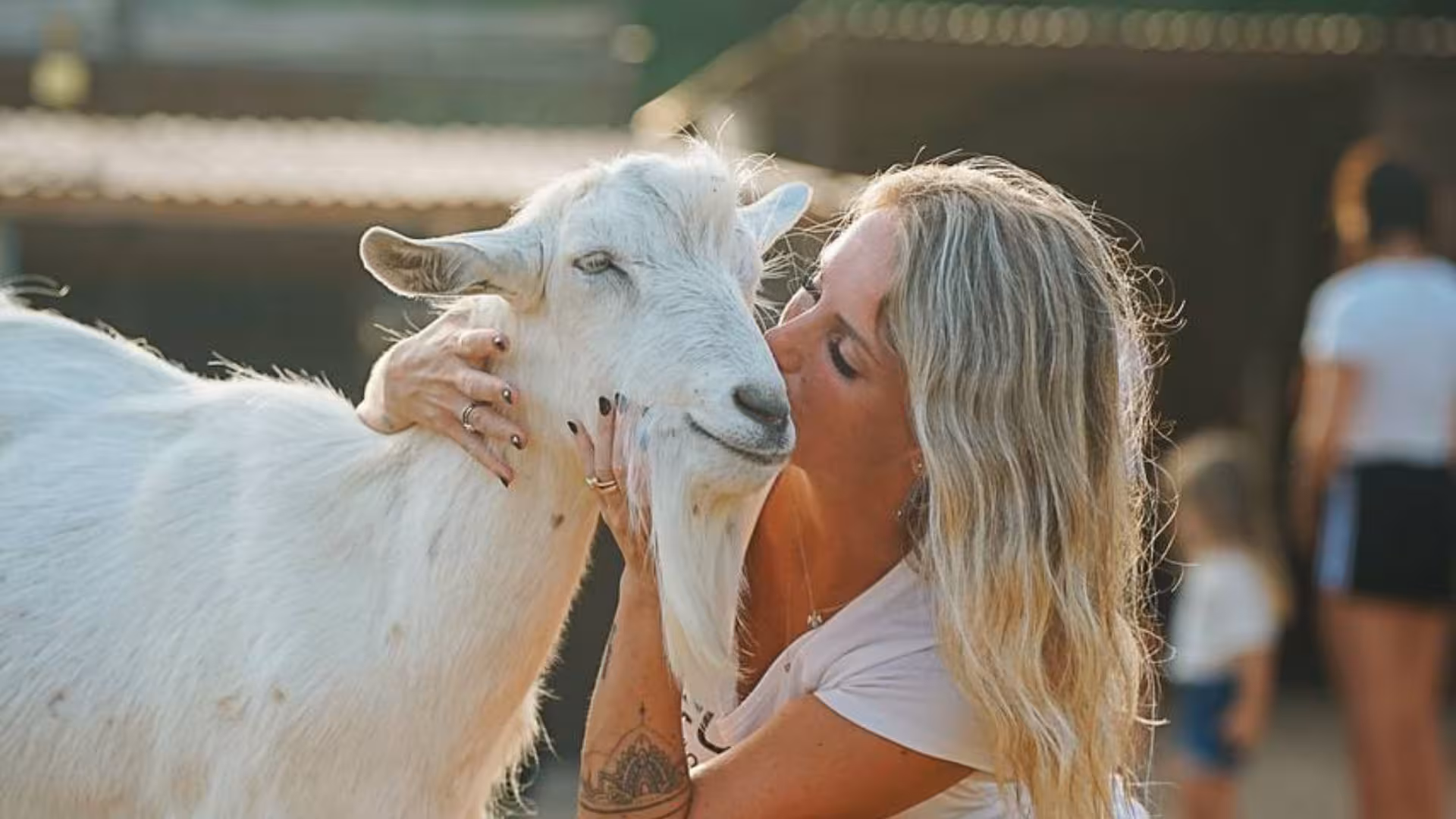 Visitor lovingly interacting with a white goat at an Alghero animal shelter, highlighting a unique wildlife experience.