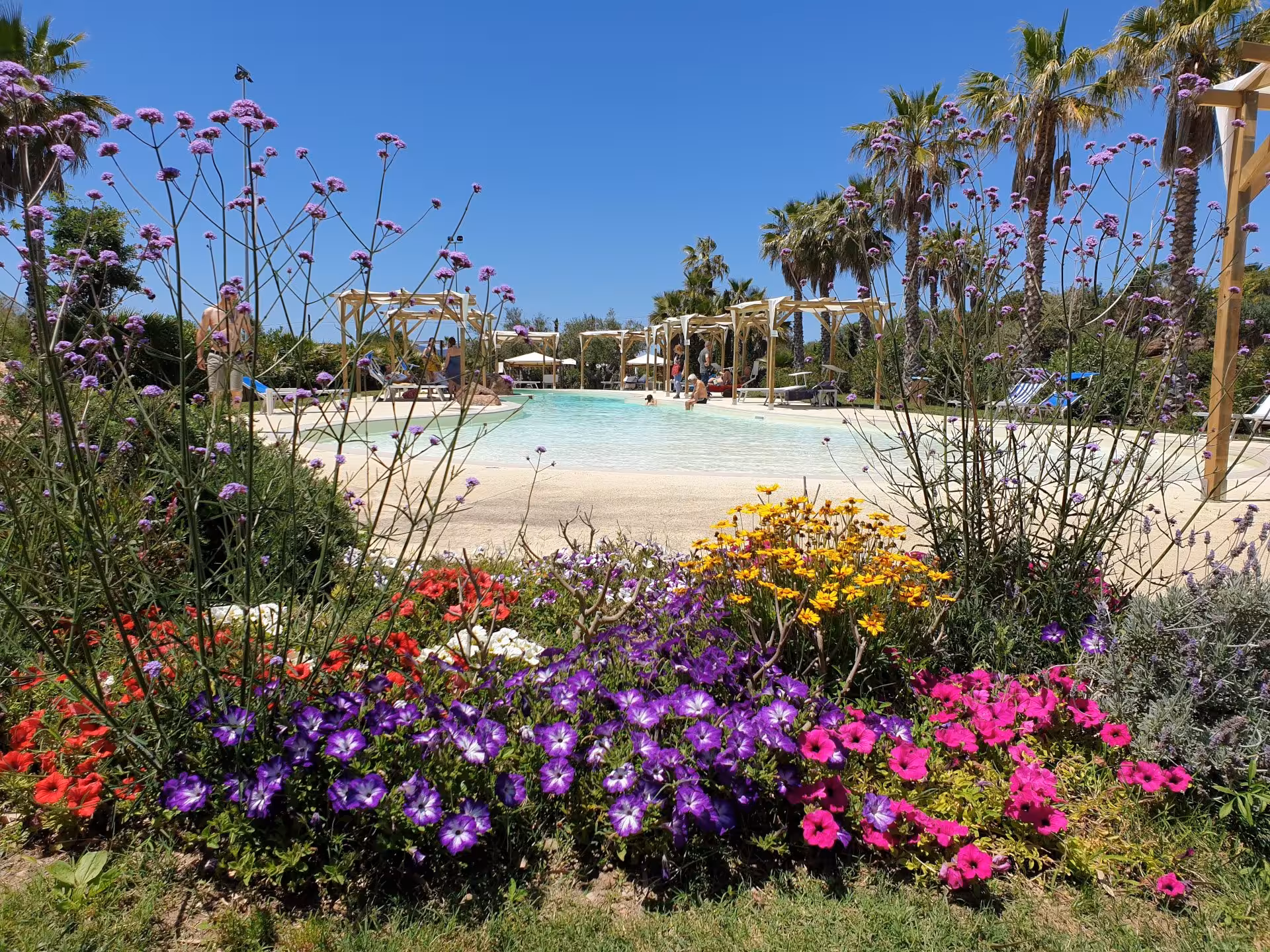 Lush garden blooms surround a serene pool at Alghero Butterfly House, offering a tranquil escape in Sardinia.