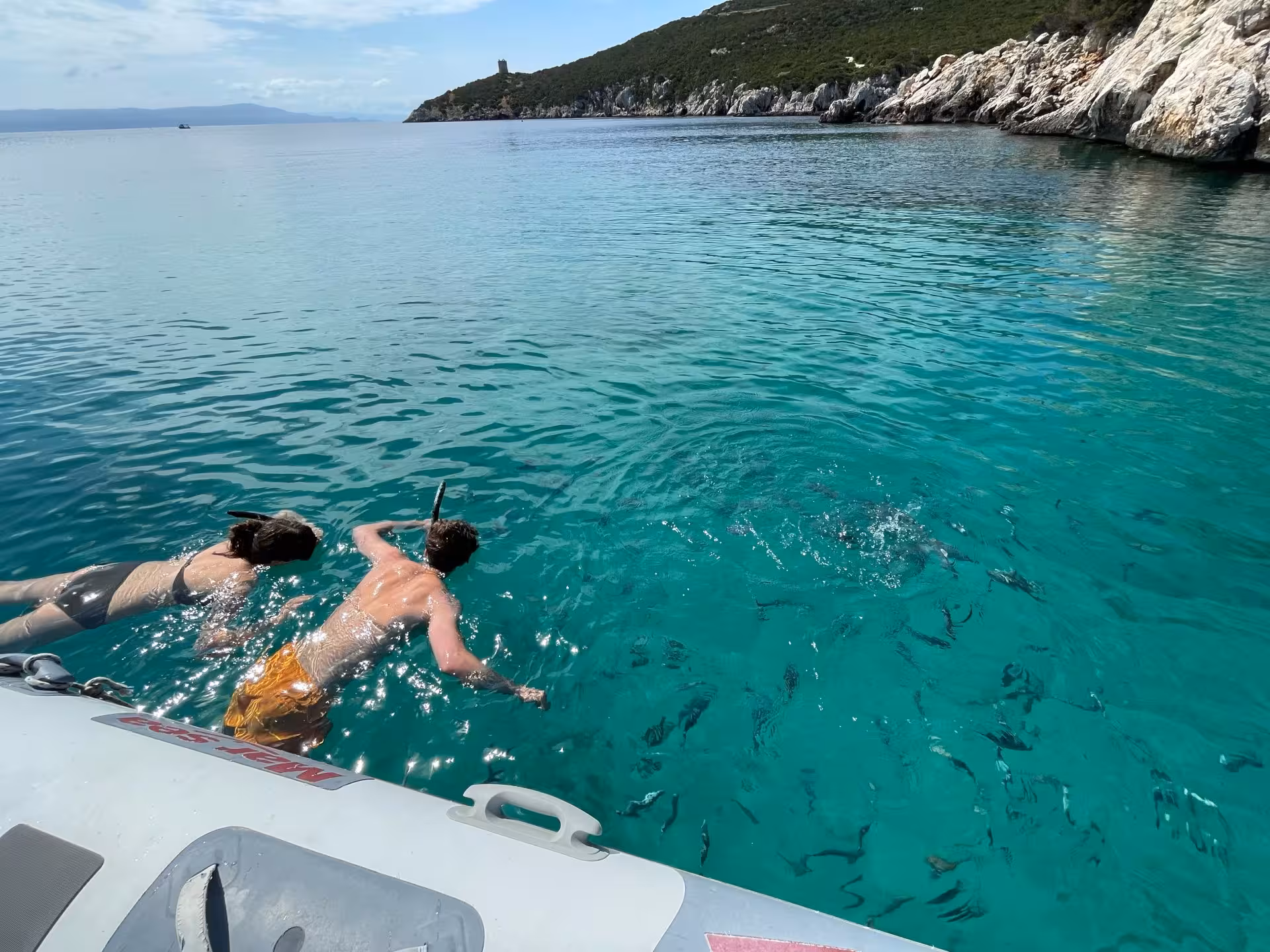 Snorkelers explore vibrant marine life near a dinghy in Alghero's Porto Conte, perfect for adventure seekers.
