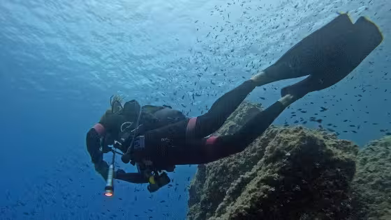 Underwater diver in Alghero exploring rocky terrain and vibrant marine life during a diving baptism.