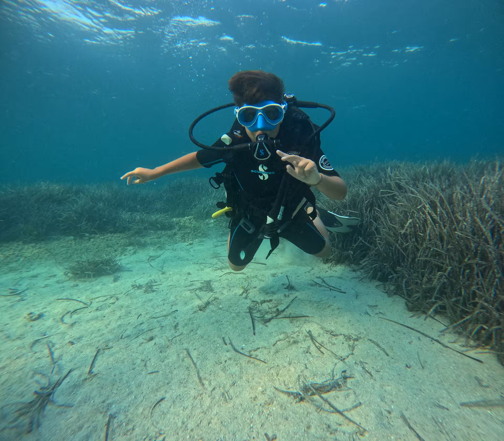 Diver in Alghero experiencing a diving baptism, exploring vibrant underwater life and sandy seabeds.