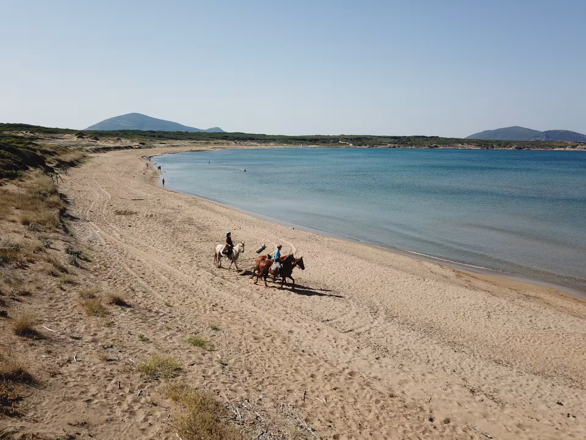 Group horseback riding along the scenic Porto Ferro beach in Alghero, with clear blue waters and distant hills.